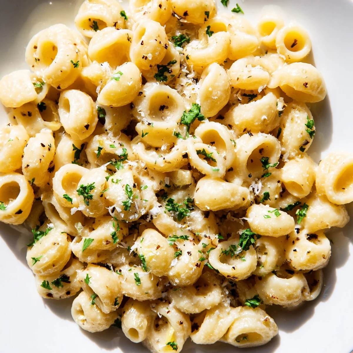 Creamy ditalini pasta smothered in a rich, garlic sauce, garnished with fresh parsley and Parmesan cheese.